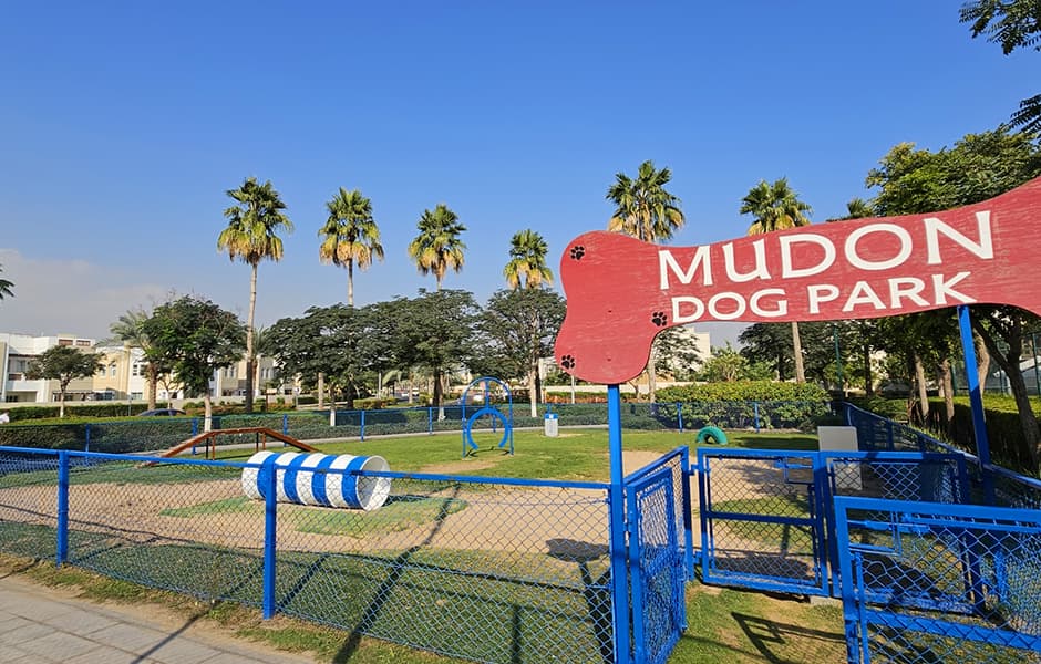 Dog Parks